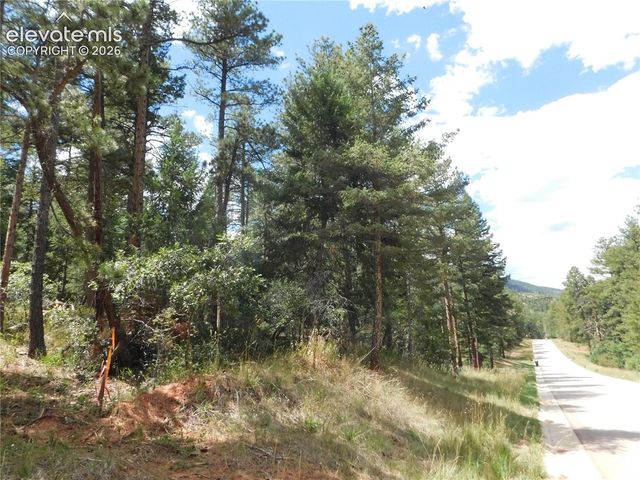 8139 Bannock Drive, Larkspur, CO 80118