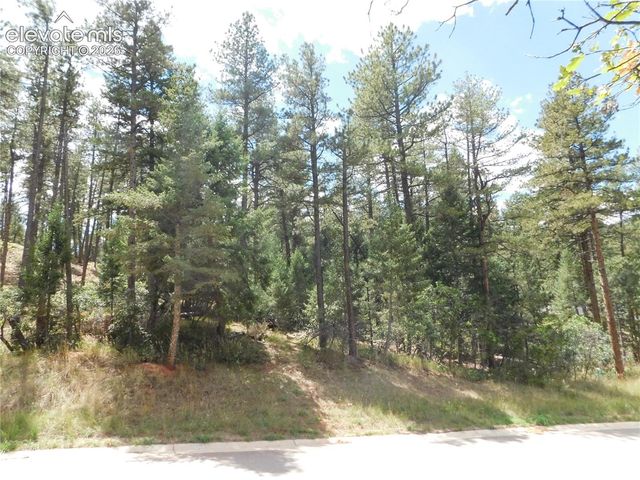 8139 Bannock Drive, Larkspur, CO 80118