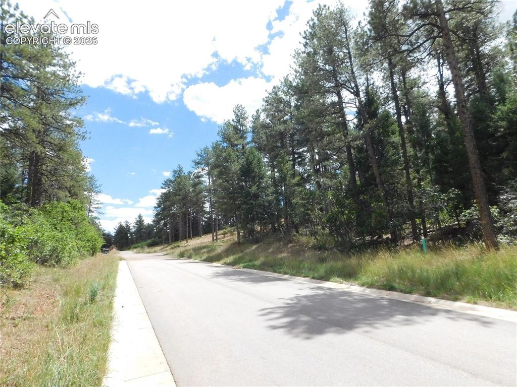 8139 Bannock Drive, Larkspur, CO 80118 — photo 5