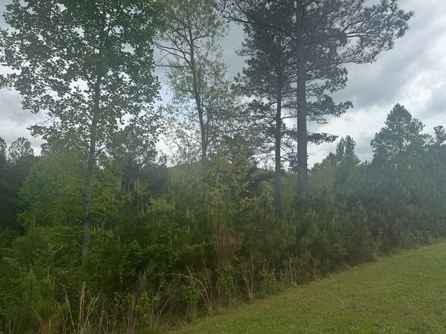 Lot 231 Ridge Point Way, Blairsville, GA 30512