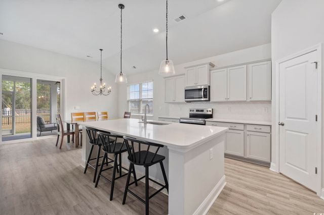 386 Glacier Way, Conway, SC 29526