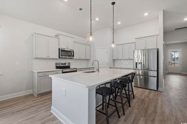 386 Glacier Way, Conway, SC 29526