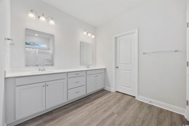 386 Glacier Way, Conway, SC 29526