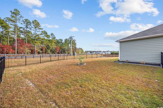 386 Glacier Way, Conway, SC 29526