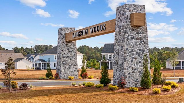 386 Glacier Way, Conway, SC 29526