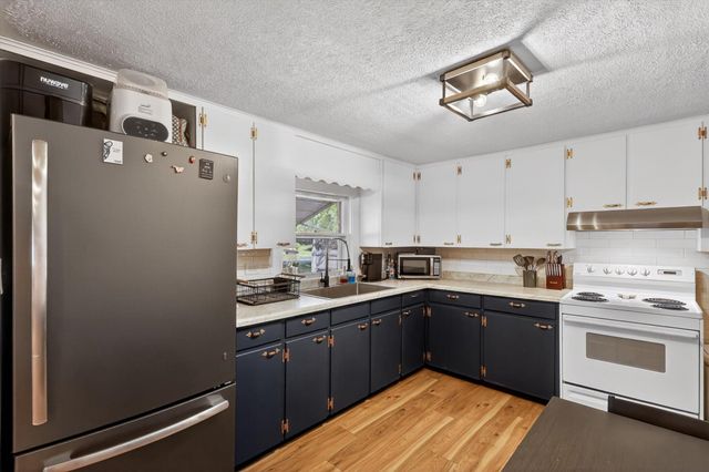 1028 Alderman Street, Belding, MI 48809
