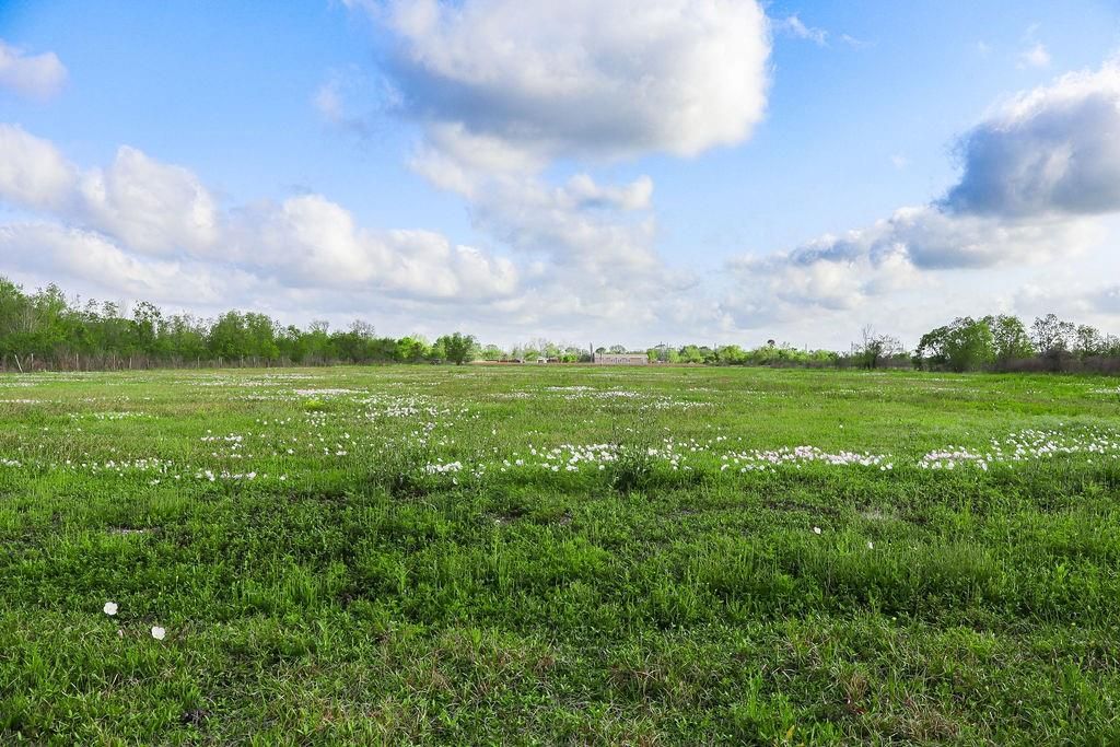 1115 E Fm 1462 Road, Rosharon, TX 77583