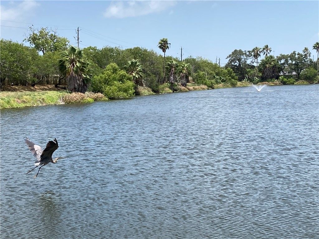 2018 Hidden Lake 2018, Corpus Christi, TX 78412 — photo 3