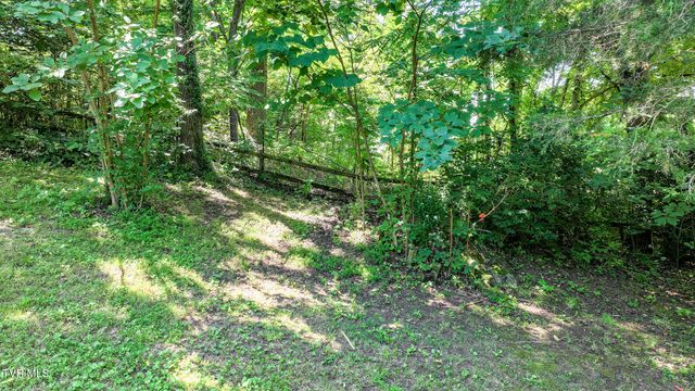 111 Elvin Shirley Road, Johnson City, TN 37601