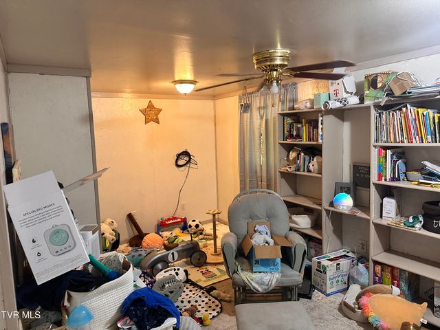 111 Elvin Shirley Road, Johnson City, TN 37601