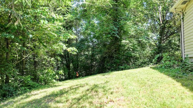 111 Elvin Shirley Road, Johnson City, TN 37601