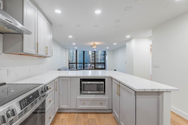 405 N Wabash Avenue 207, Chicago, IL 60611