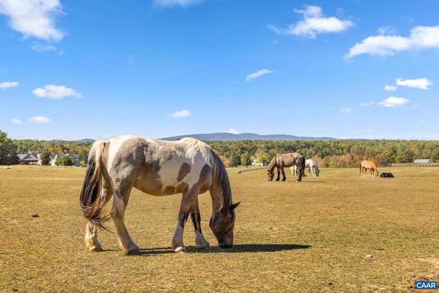 789 PINEHURST DR, Gordonsville, VA 22942