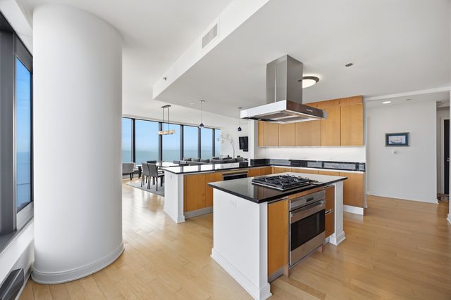 60 E Monroe Street 5301, Chicago, IL 60603