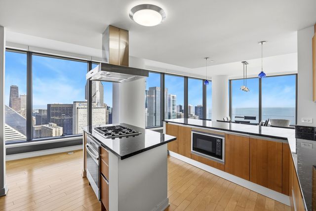 60 E Monroe Street 5301, Chicago, IL 60603