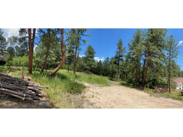 1025 Tenderfoot Dr, Larkspur, CO 80118