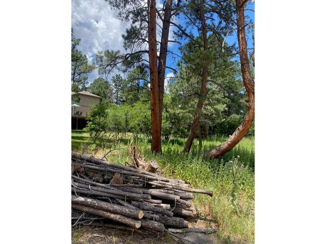 1025 Tenderfoot Dr, Larkspur, CO 80118