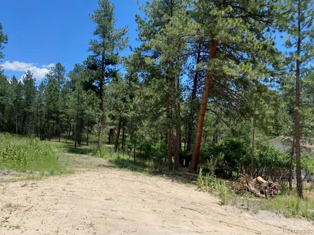 1025 Tenderfoot Dr, Larkspur, CO 80118