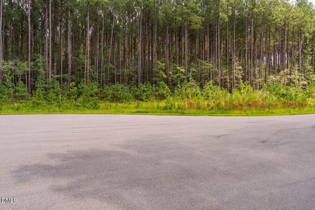 586 Anneliis Lane, Siler City, NC 27344