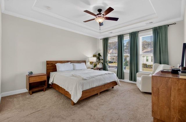 377 Turnstone Street, Mount Pleasant, SC 29464