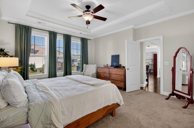 377 Turnstone Street, Mount Pleasant, SC 29464