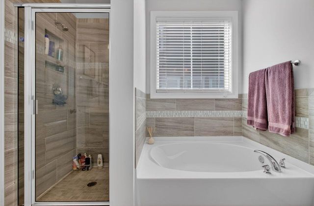 377 Turnstone Street, Mount Pleasant, SC 29464