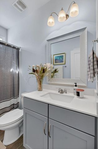 377 Turnstone Street, Mount Pleasant, SC 29464