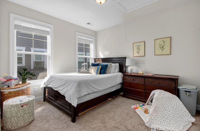 377 Turnstone Street, Mount Pleasant, SC 29464