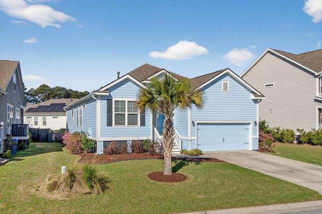 377 Turnstone Street, Mount Pleasant, SC 29464
