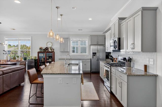 377 Turnstone Street, Mount Pleasant, SC 29464