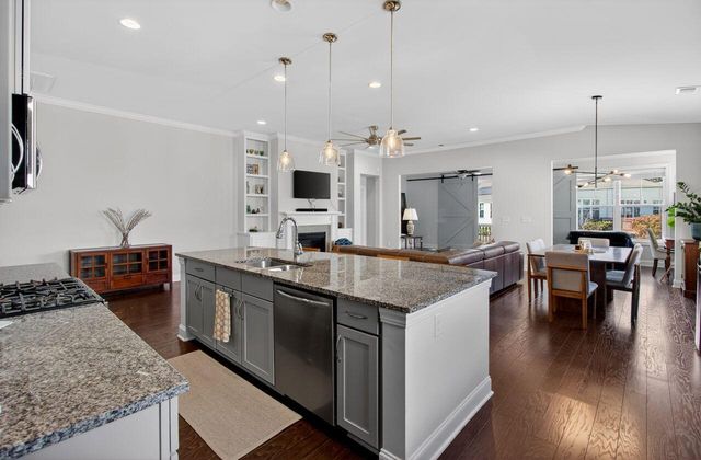 377 Turnstone Street, Mount Pleasant, SC 29464