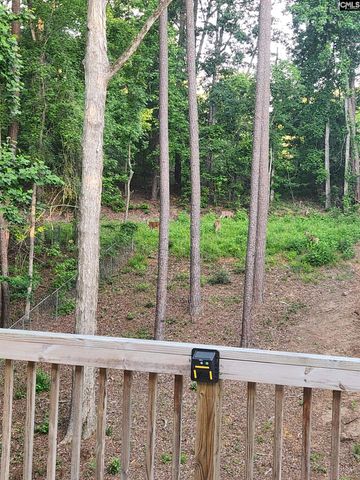 319 Hearthstone Road, Columbia, SC 29210