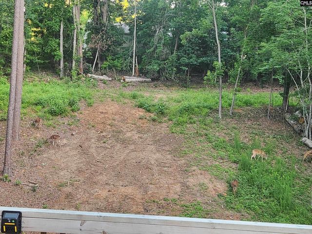 319 Hearthstone Road, Columbia, SC 29210