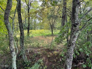 Lot 3 Locust Gap Road, Mountain City, TN 37683