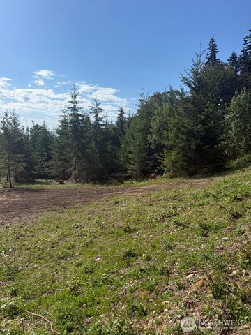 1 I Triangle Cove Lane, Camano Island, WA 98282