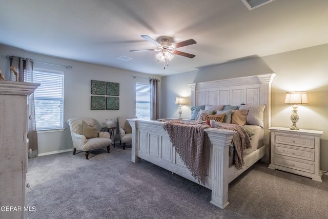 325 EMERALD EARTH Lane, Horizon City, TX 79928