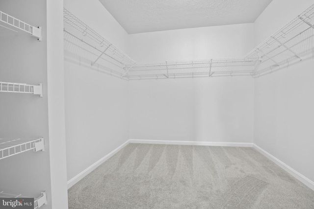 2324 WILDFLOWER WAY, Locust Grove, VA 22508