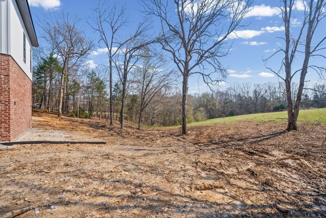 217 Lewis Grant Ln Lot 6, Southside, TN 37171