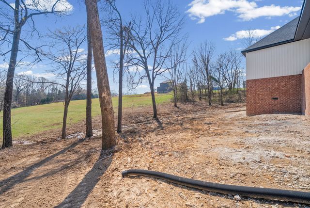 217 Lewis Grant Ln Lot 6, Southside, TN 37171