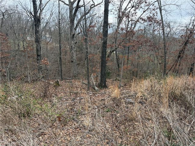 Ludborough Lane, Bella Vista, AR 72715