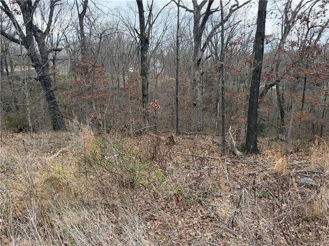 Ludborough Lane, Bella Vista, AR 72715