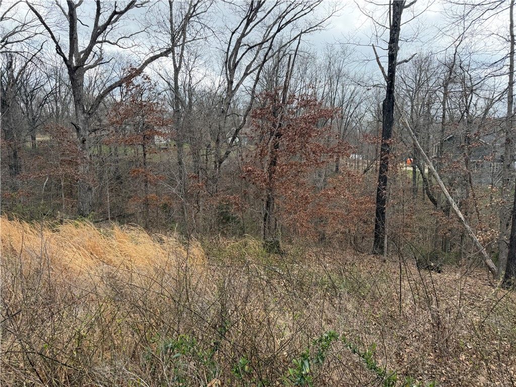 Ludborough Lane, Bella Vista, AR 72715