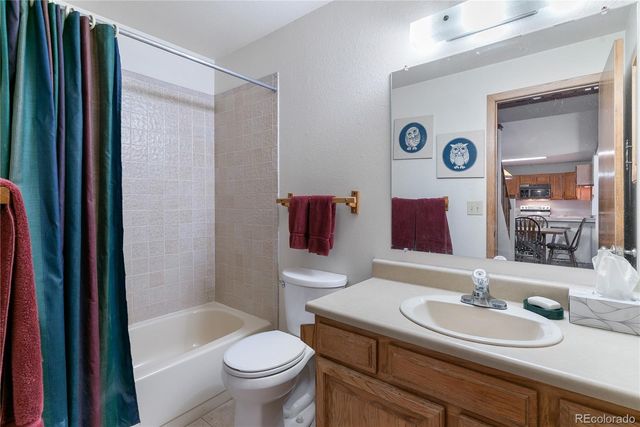 89310 Ryan Gulch Road 409, Silverthorne, CO 80498