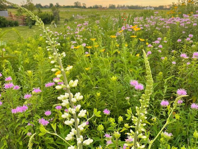 2734 Galena Place SW, Rochester, MN 55902