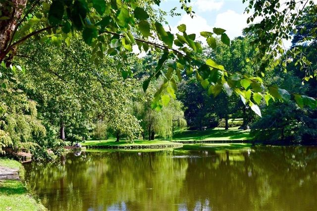 2626 Peachtree NW Road 1706, Atlanta, GA 30305