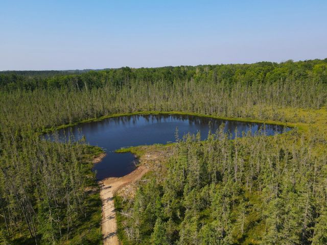 24147 Maple Drive W, Bovey, MN 55709