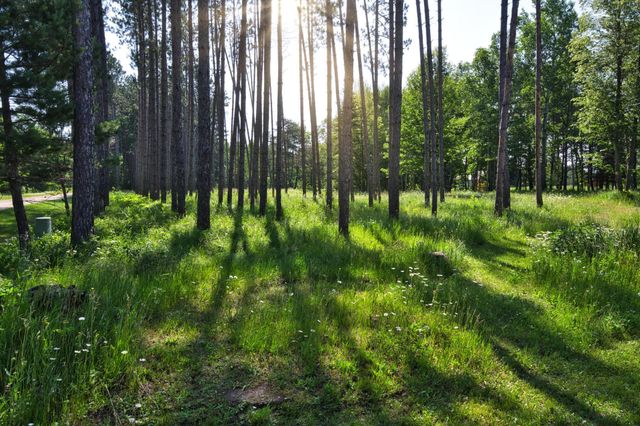 24147 Maple Drive W, Bovey, MN 55709