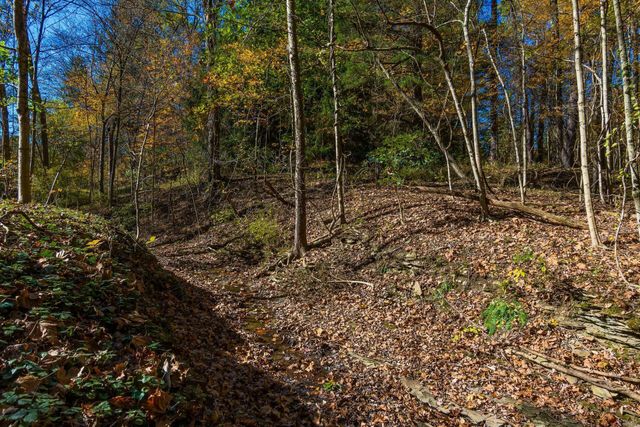 3596 Goose Lane, Granville, OH 43023