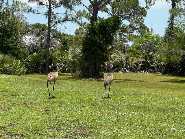 12274 Golden Eagle Street, Port St. Lucie, Port St Lucie, FL 34987