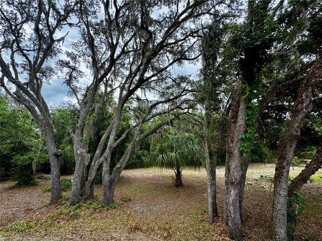 34336 ARBOR STREET, Dade City, FL 33523